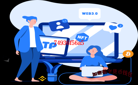token packet钱包-token pocket钱包怎么玩